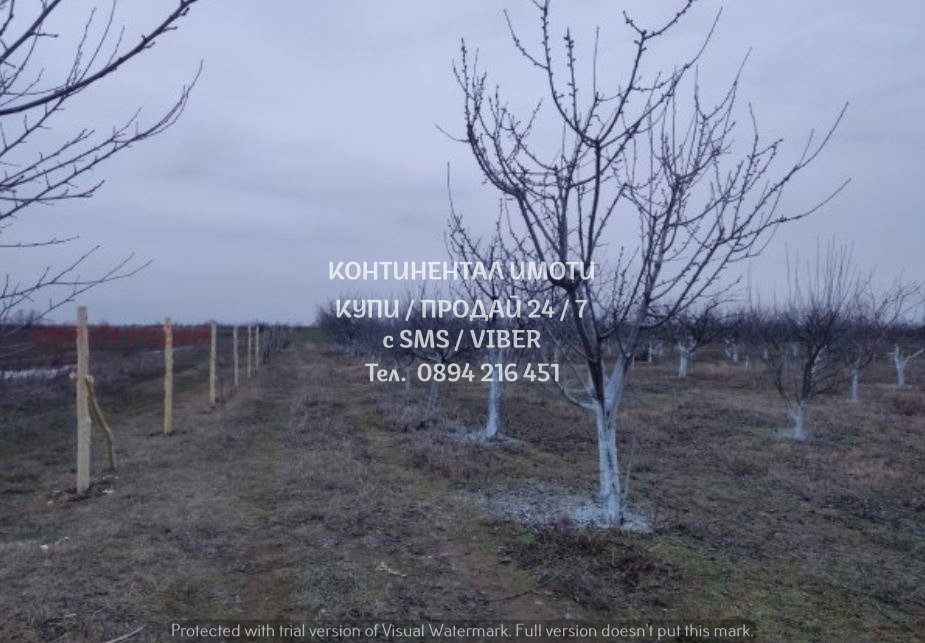 ������� ���������� ���� | Imot.bg � ����������� 3