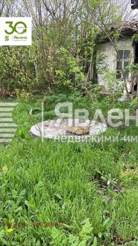 ����� ������� ������,��. ��������, ������ �����