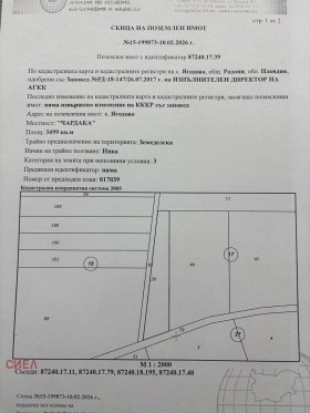 ������ ������� ������