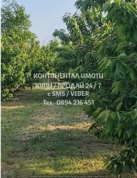 ������� ���������� ���� | Imot.bg � ����� ������ 4