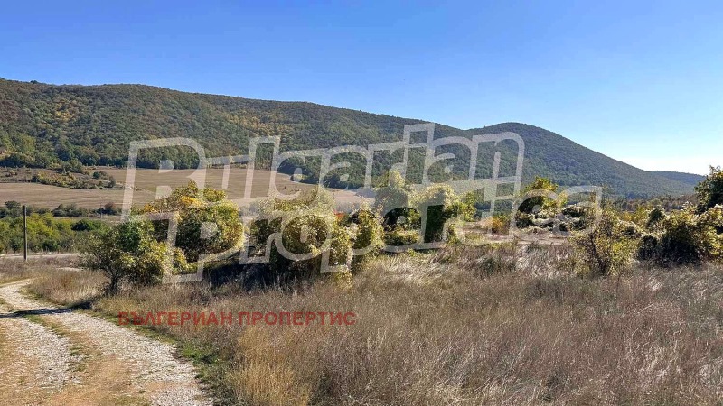 Продава КЪЩА, с. Сулица, област Стара Загора, снимка 12 - Къщи - 52221263