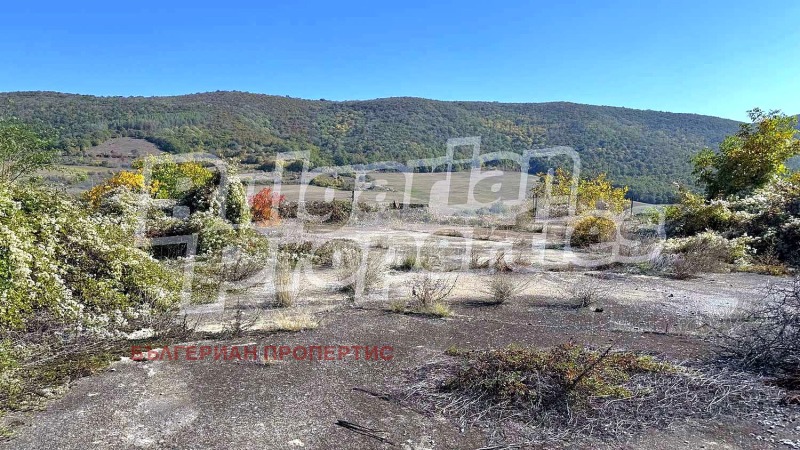 Продава КЪЩА, с. Сулица, област Стара Загора, снимка 10 - Къщи - 52221263