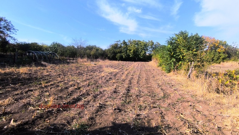 Προς πώληση  Οικόπεδο περιοχή Ruse , Προσενα , 2608 τ.μ | 42031378 - εικόνα [2]