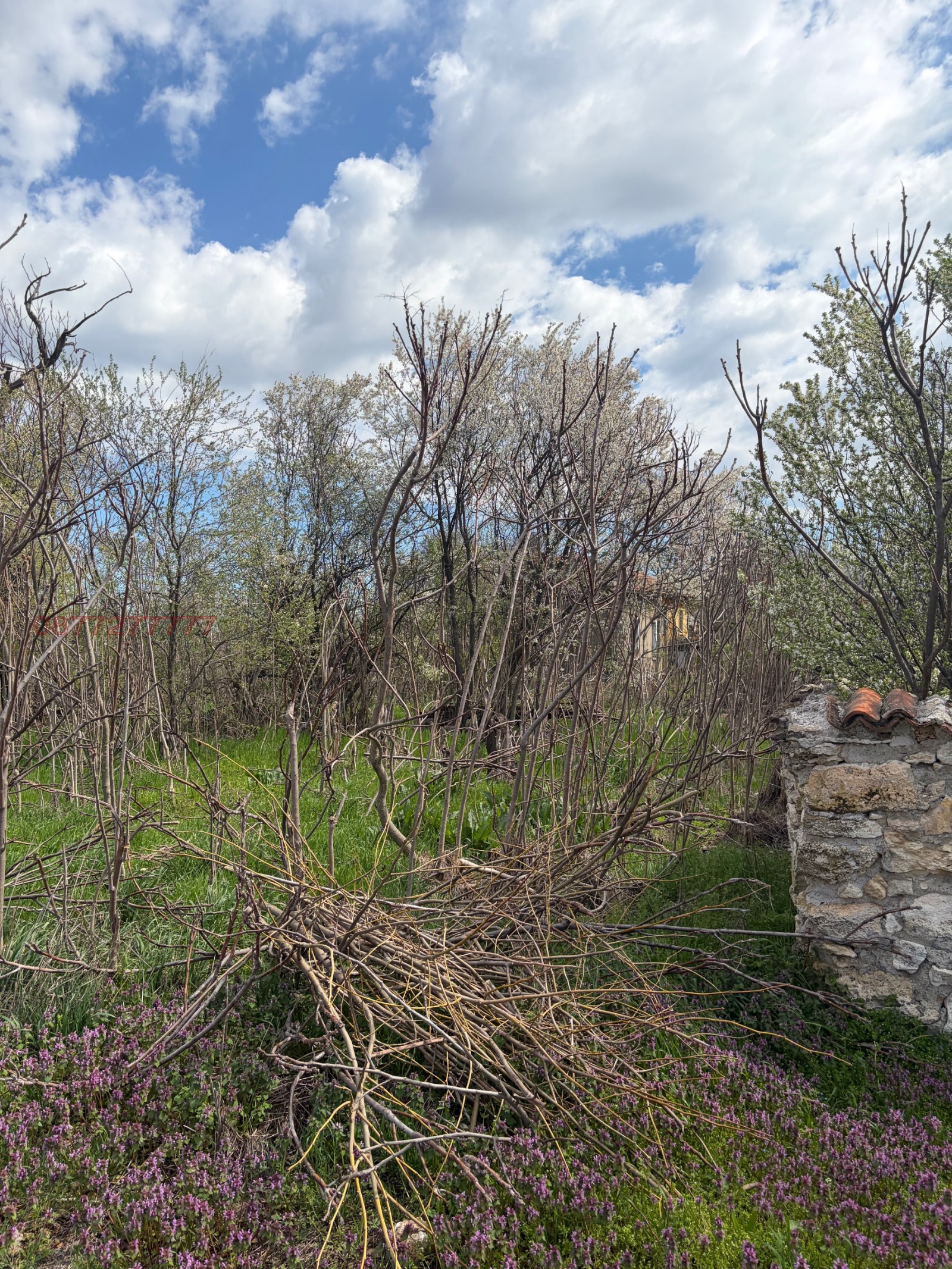 Продава КЪЩА, с. Ивановци, област Видин, снимка 2 - Къщи - 54344343