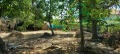 Продава  Къща област Стара Загора , с. Богомилово , 120 кв.м | 33858131 - изображение [9]