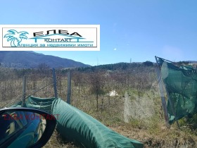 ������ ������� ������