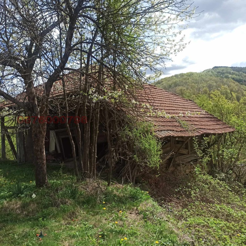 Продава КЪЩА, с. Осенарите, област Велико Търново, снимка 3 - Къщи - 52785491