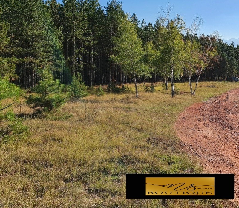 For Sale  Plot Sofia , Voynegovtsi , 1259 sq.m | 36950806 - image [5]