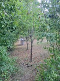 Продава КЪЩА, с. Луково, област София област, снимка 5