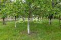 Продава КЪЩА, област София, с. Драговищица • 63000 € • 56818769 — Holmes.bg