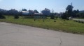 Продава ПАРЦЕЛ, област София, с. Горна Малина • 48000 € • 12560521 — Holmes.bg