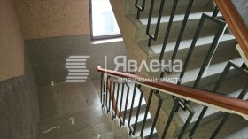 ����� ������� 2-�����,���� �����, ������