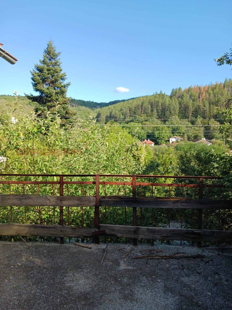 Продава ПАРЦЕЛ, с. Неделкова Гращица, област Кюстендил, снимка 4 - Парцели - 52785645