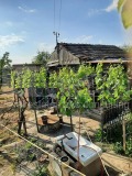 Продава ПАРЦЕЛ, с. Габърница, област Варна, снимка 2 - Парцели - 39903921