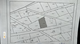 ����� ������� ������,�. ��������, ������ ����