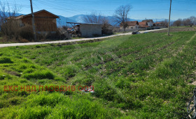 ����� ������� ������,�. ��������, ������ �������