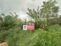Продава ПАРЦЕЛ, област Варна, с. Белоградец • 12000 € • 73128940 — Holmes.bg