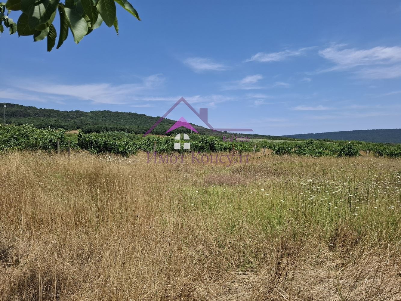������� ������ | Imot.bg � ����������� 3