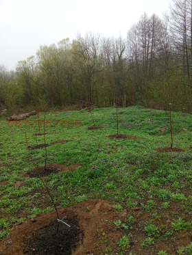 ������� ���� | Imot.bg � ����� ������ 4