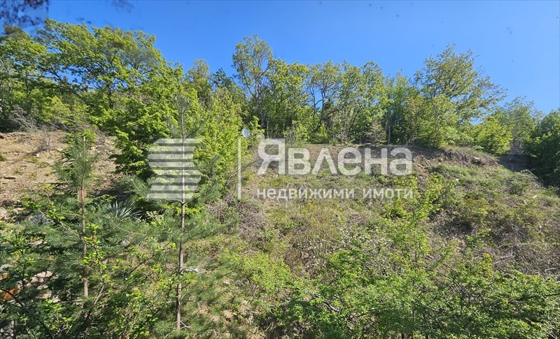 Продава 3-СТАЕН, гр. Свети Влас, област Бургас, снимка 10 - Апартаменти - 54416363
