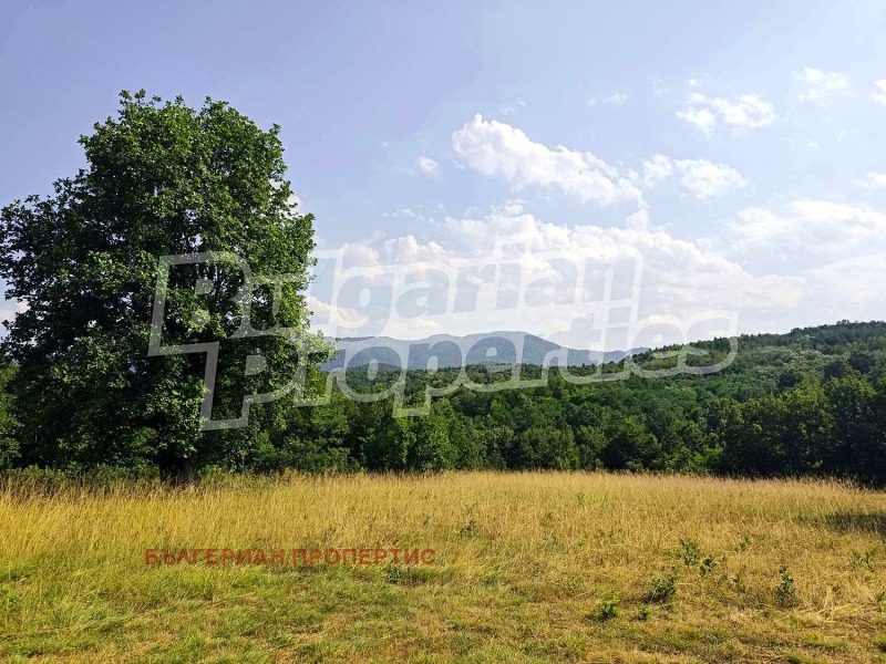 Till salu  Hus region Gabrovo , Mletjevo , 338 kvm | 78779281 - bild [4]