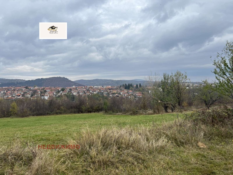 Продава ПАРЦЕЛ, гр. Берковица, област Монтана, снимка 2 - Парцели - 52831328