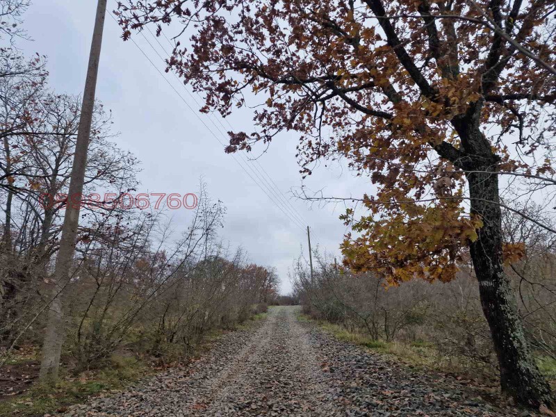 Продава ПАРЦЕЛ, с. Велика, област Бургас, снимка 2 - Парцели - 52780601