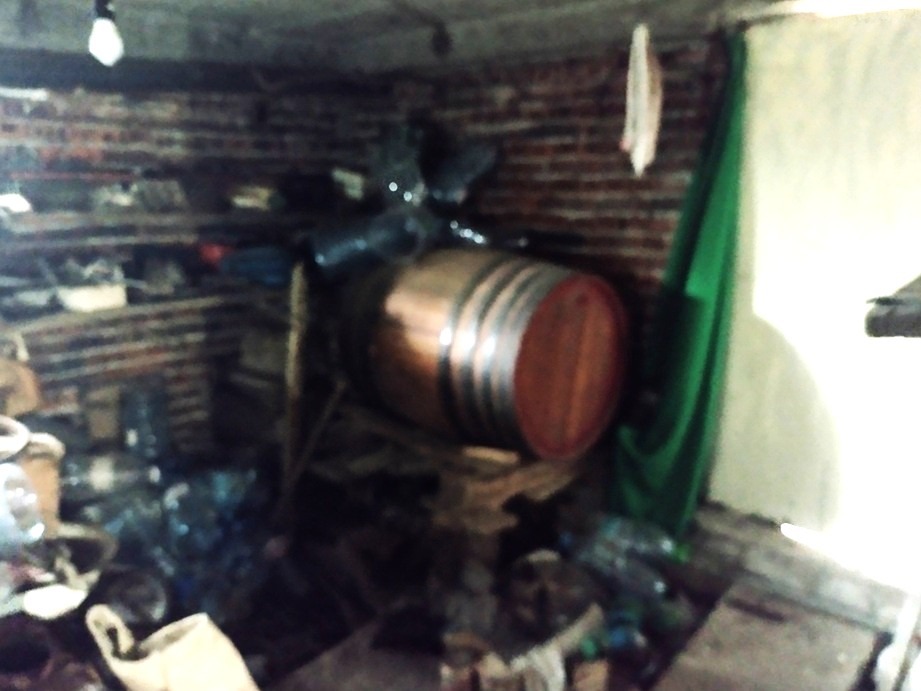 Продава КЪЩА, гр. Белоградчик, област Видин, снимка 12 - Къщи - 56218426
