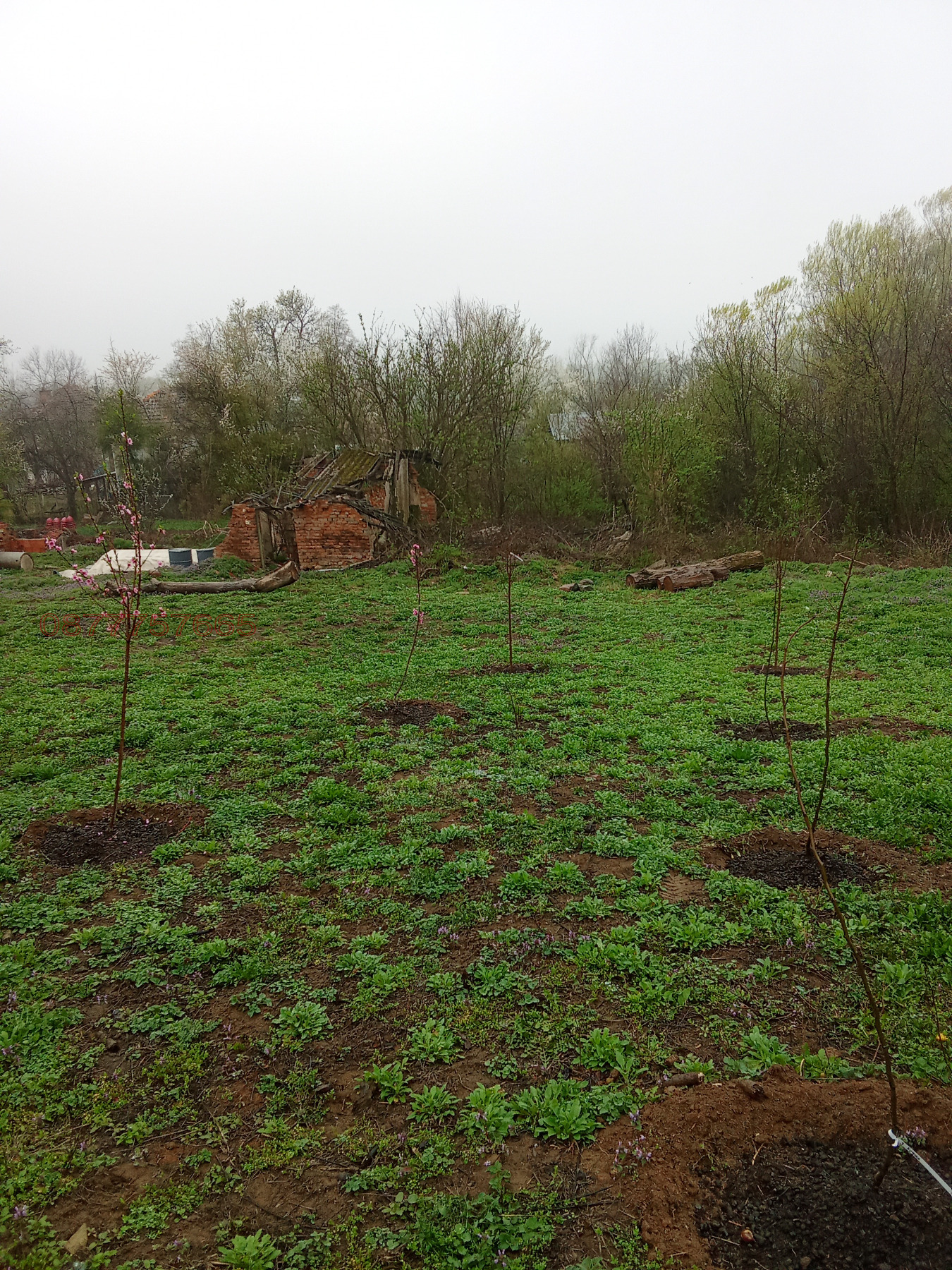 Продава КЪЩА, с. Ягодово, област Монтана, снимка 3 - Къщи - 54268764