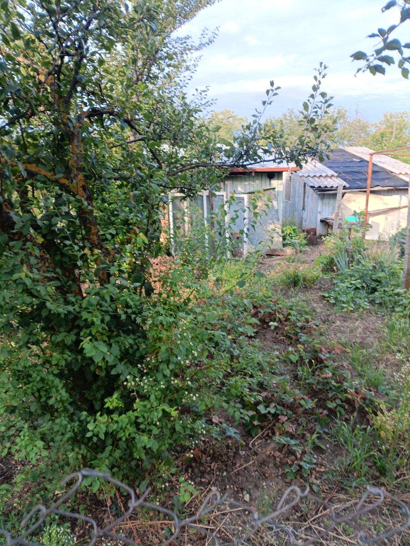 Продава ПАРЦЕЛ, гр. Разград, Промишлена зона - Запад, снимка 2 - Парцели - 54413006