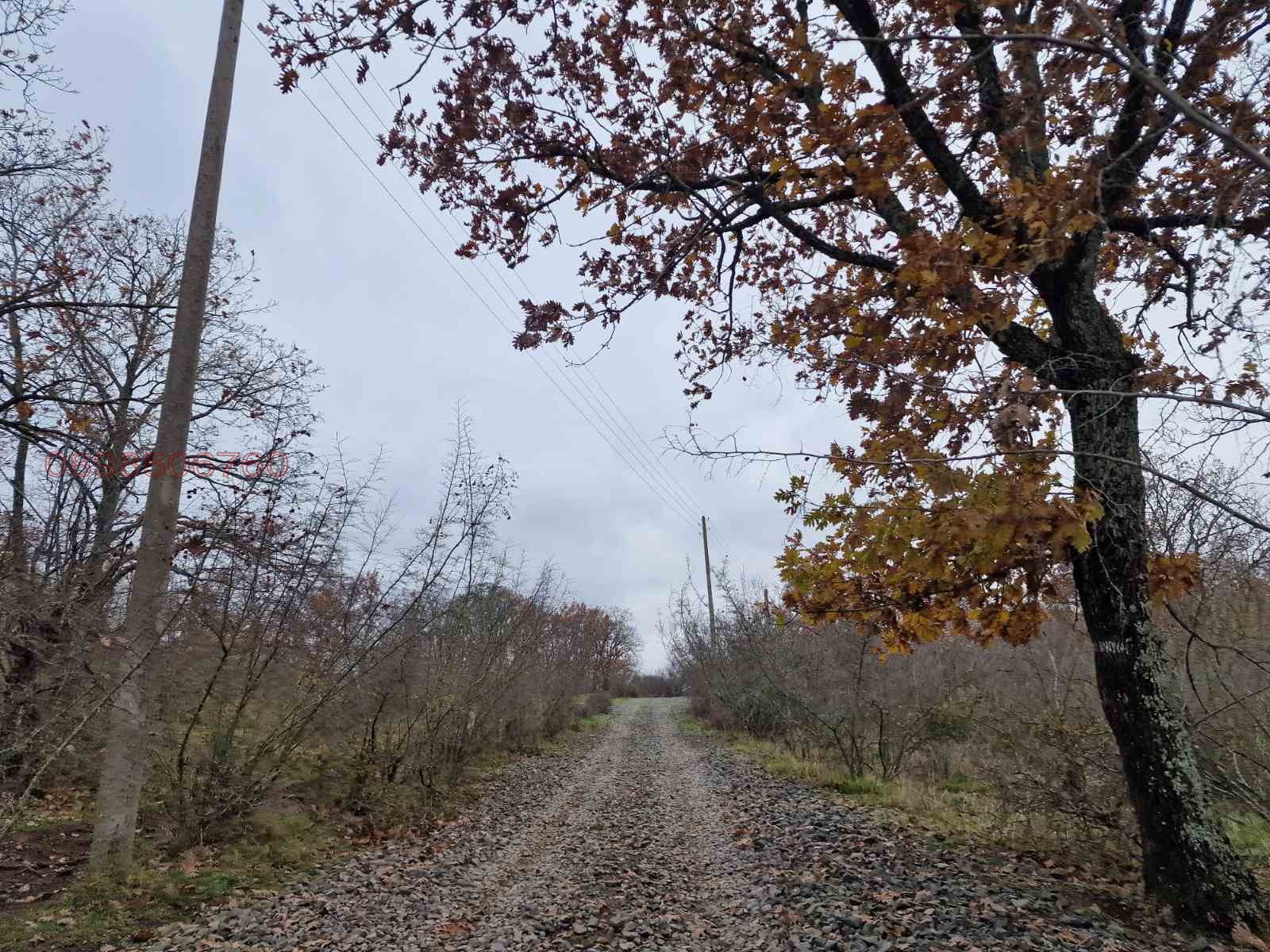 Продава ПАРЦЕЛ, с. Велика, област Бургас, снимка 2 - Парцели - 54551048