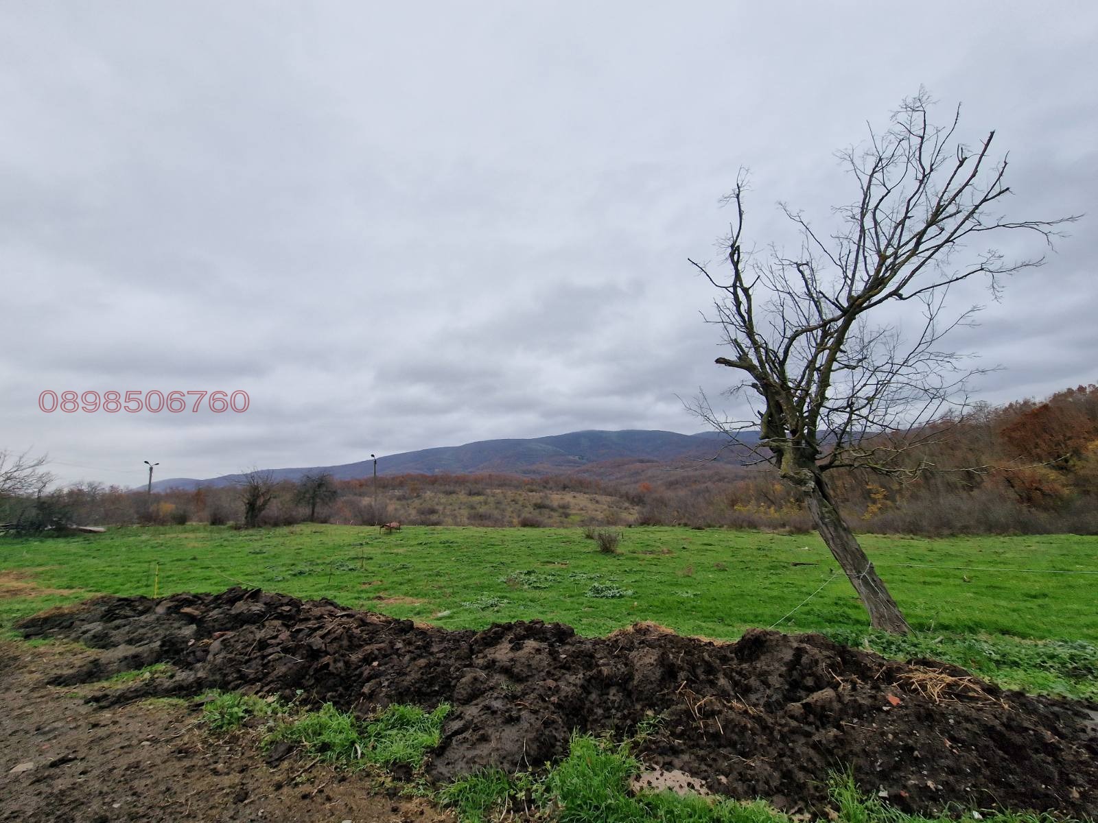 Продава ПАРЦЕЛ, с. Велика, област Бургас, снимка 7 - Парцели - 54551048