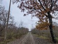 Продава ПАРЦЕЛ, с. Велика, област Бургас, снимка 2