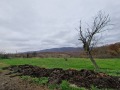 Продава ПАРЦЕЛ, с. Велика, област Бургас, снимка 7