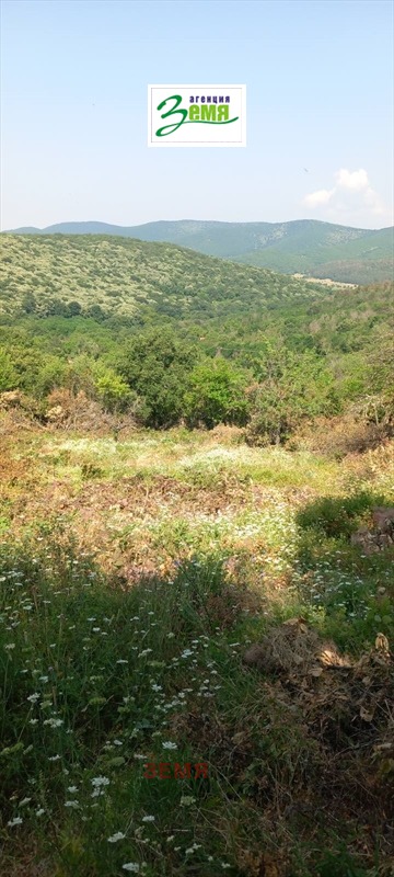 Προς πώληση  Οικόπεδο Σταρα Ζαγορα , Ζελεζνηκ - τσενταρ , 1335 τ.μ | 44611353 - εικόνα [6]