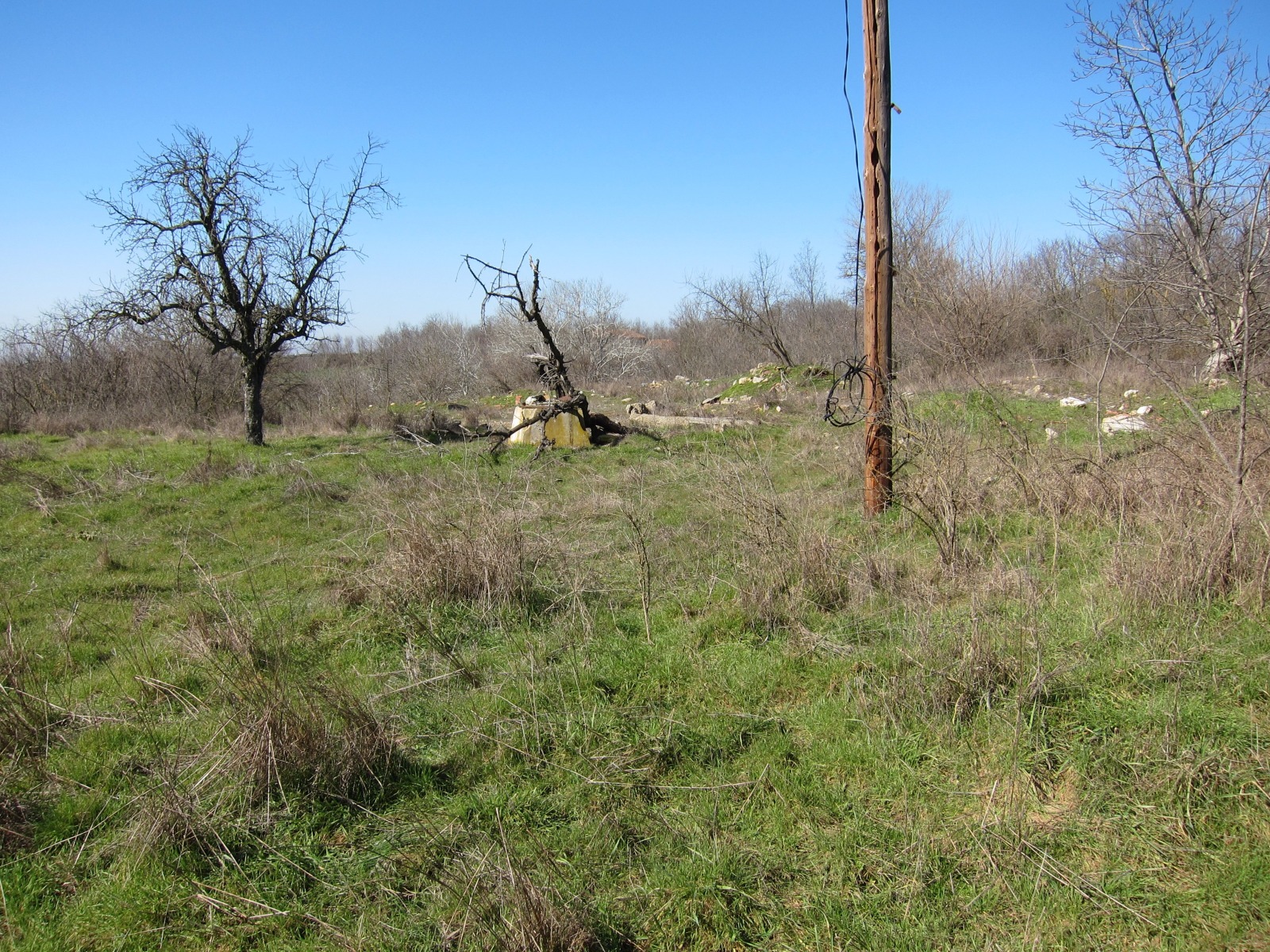 Продава ПАРЦЕЛ, с. Кривня, област Варна, снимка 3 - Парцели - 53581030