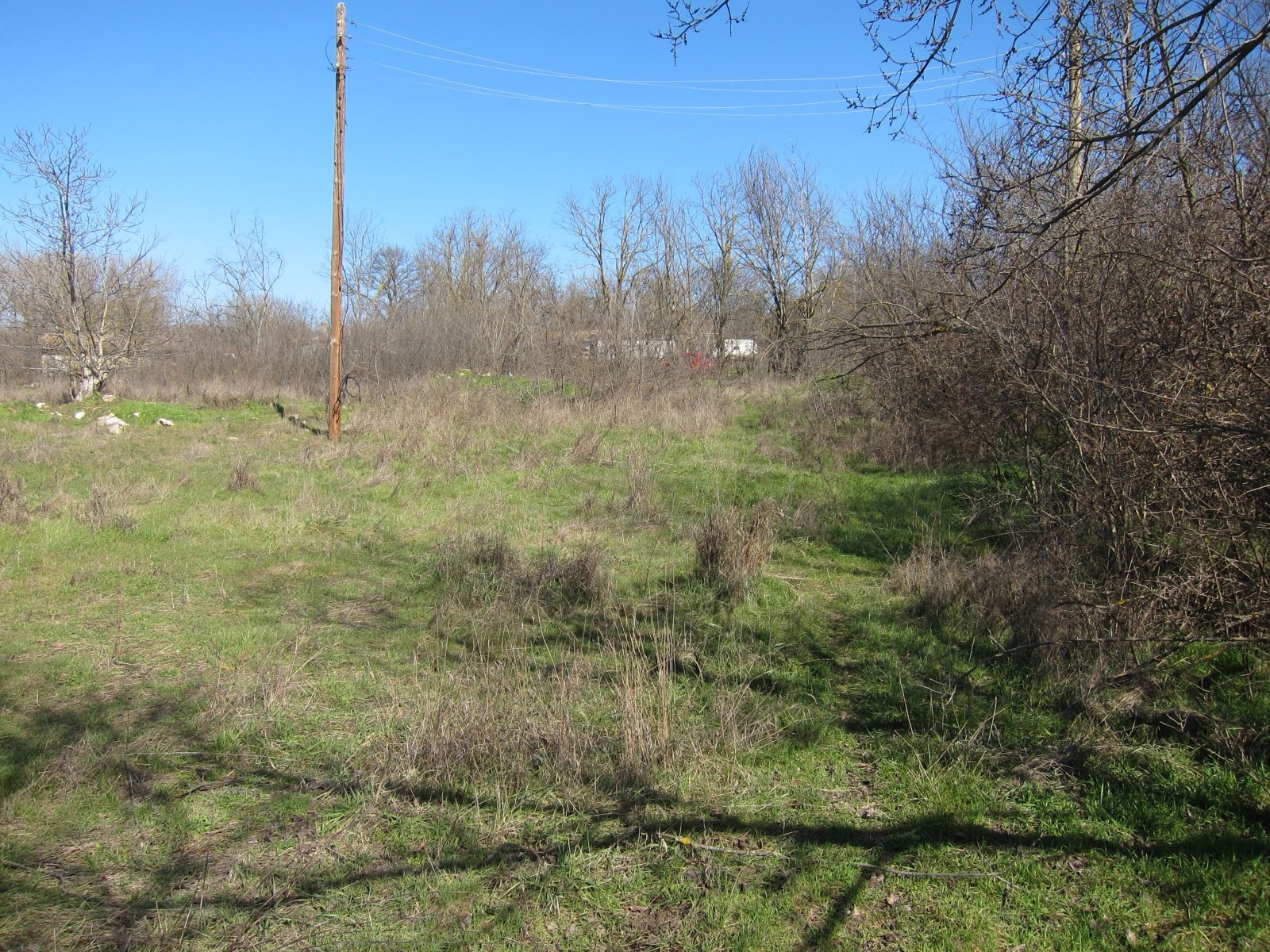 Продава ПАРЦЕЛ, с. Кривня, област Варна, снимка 7 - Парцели - 53581030