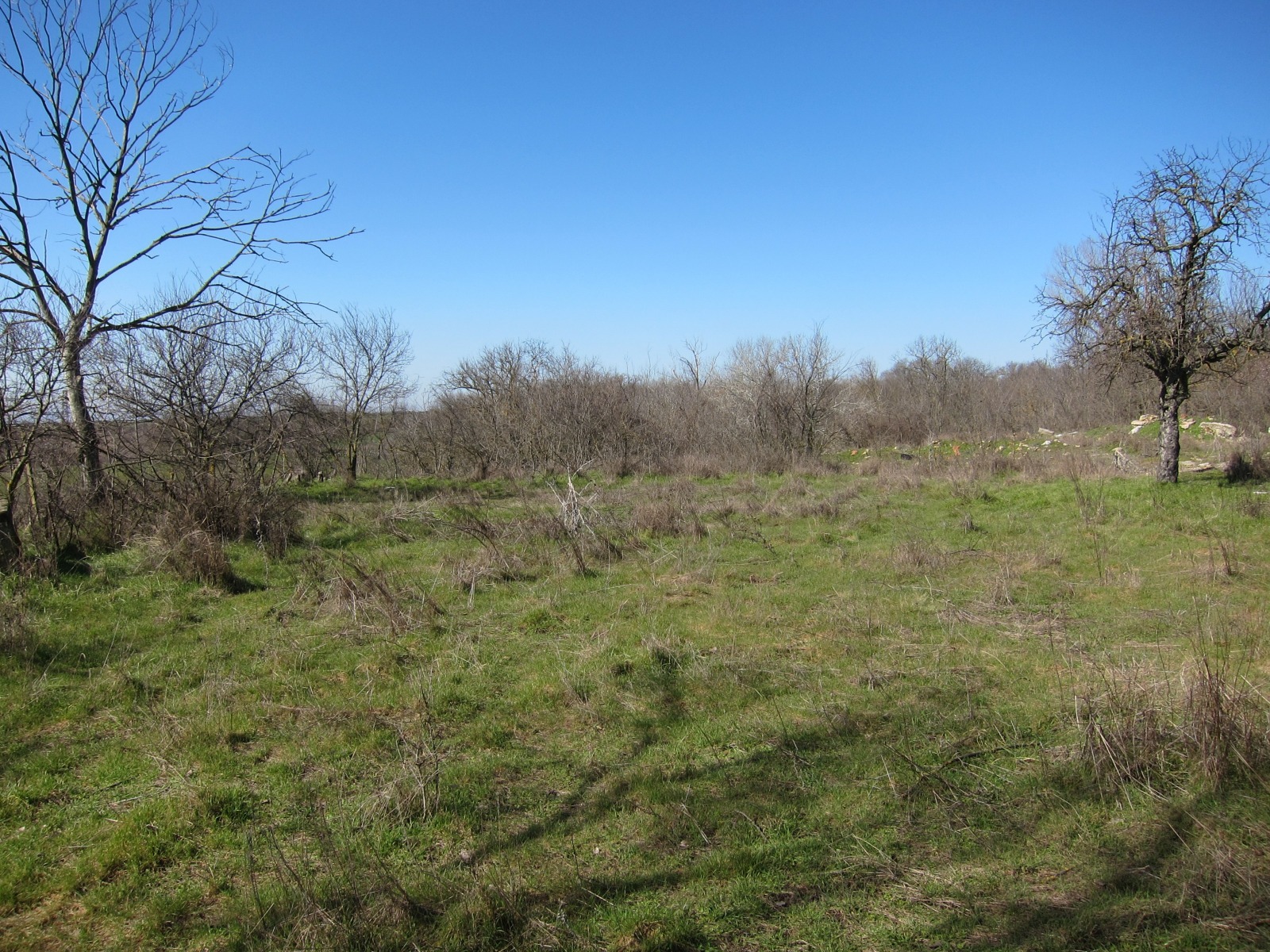 Продава ПАРЦЕЛ, с. Кривня, област Варна, снимка 8 - Парцели - 53581030