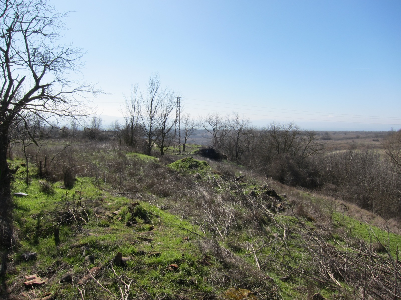 Продава ПАРЦЕЛ, с. Кривня, област Варна, снимка 9 - Парцели - 53581030