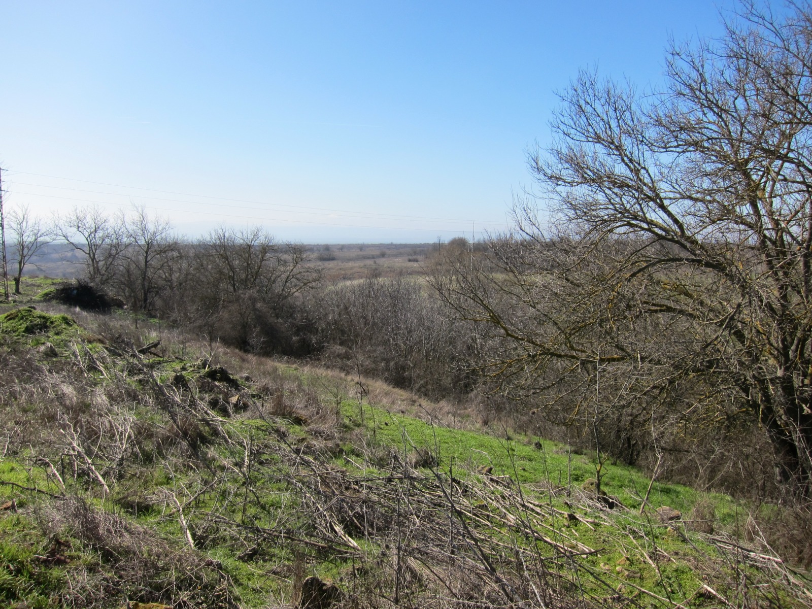 Продава ПАРЦЕЛ, с. Кривня, област Варна, снимка 10 - Парцели - 53581030