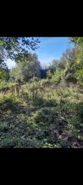 Продава КЪЩА, област Плевен, с. Садовец • 20000 лв. • 37615397 — Holmes.bg