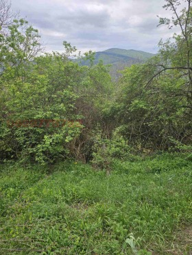 ������� ���� | Imot.bg � ����� ������ 16