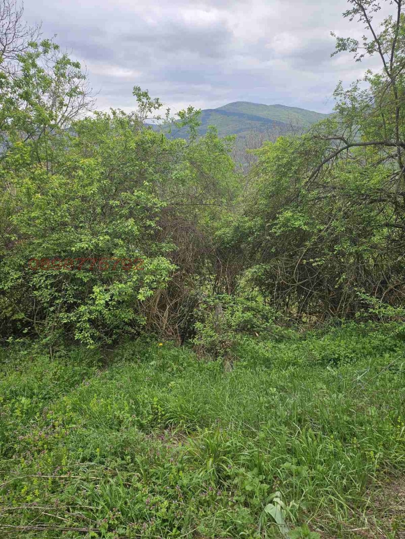 Продава КЪЩА, гр. Ботевград, област София област, снимка 16 - Къщи - 52783895