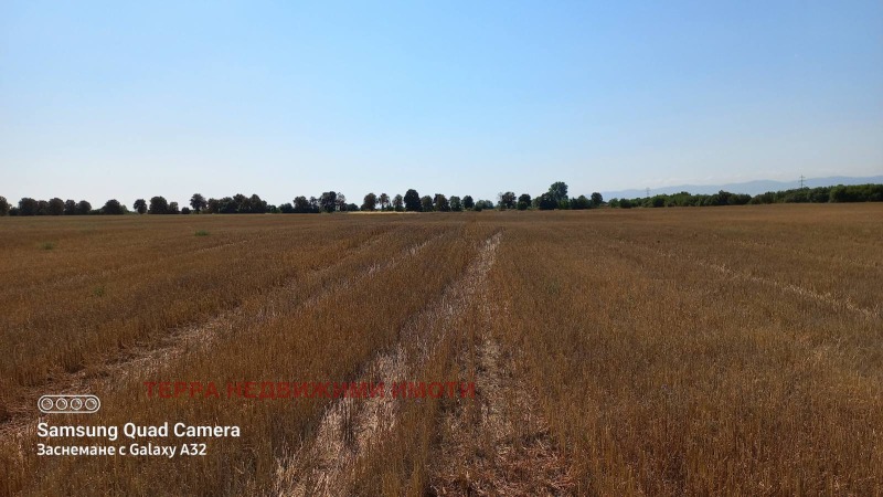 For Sale  Plot Sofia , Voynegovtsi , 2522 sq.m | 30205219 - image [3]