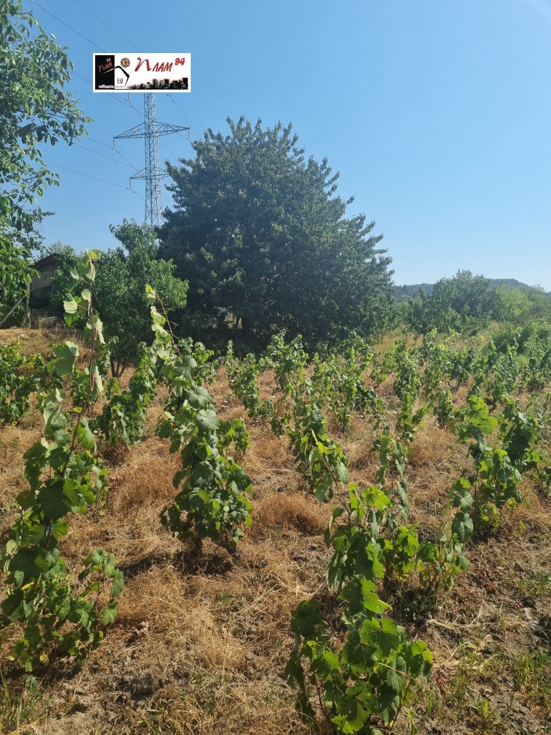 Προς πώληση  Γη περιοχή Βάρνα , Ακσακοβο , 2 dka | 83875224 - εικόνα [2]