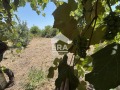 Продава КЪЩА, област Варна, с. Солник • 37000 € • 32351995 — Holmes.bg