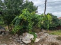 Продава КЪЩА, град Русе, Средна кула • 45000 € • 31085878 — Holmes.bg