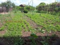 Продава  Къща област Перник , с. Слаковци , 77 кв.м | 24548581 - изображение [4]
