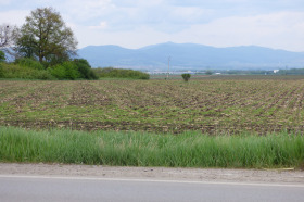 ����� ������� ������,���� �����, ����������