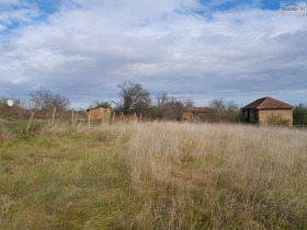 ����� ������� ������,�. ������, ������ �������